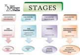 Schéma d'organisation des stages