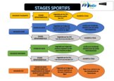 Schéma d'organisation des stages